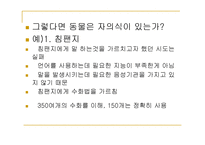 동물의 살생 레포트-5