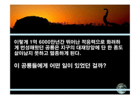공룡의 멸종 레포트-7