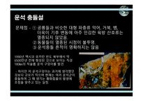 공룡의 멸종 레포트-11
