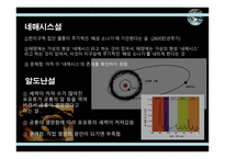 공룡의 멸종 레포트-16