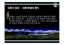 공룡의 멸종 레포트-20