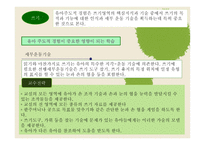 영유아 교수방법론 언어와 문해-14