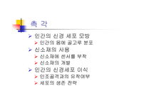 아이로봇의 가능성-15