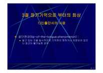 기억의 이해 레포트-17