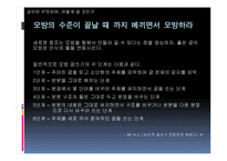 글쓰기의 이해 레포트-15