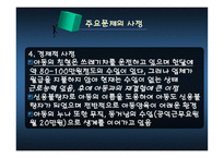 해결중심 모델을 사용한 판다 소년 사례분석-20