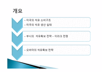 석유 확보를 위한 미국의 전략-2