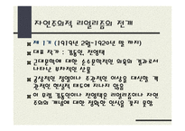 문예사조 리얼리즘 한국의 리얼리즘-10