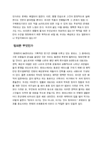 일본 애니메이션 원피스 무엇을 위한 항해인가-3