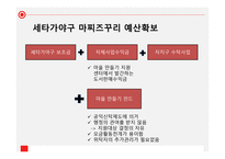 일본 과한 국을 비교를 통한 주민주도형 마을 만들기-9