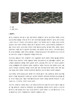 조선시대 목칠공예-4