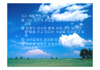 친일 시인서 정주와 독립시인 이육사 비교분석-8