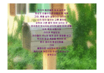 친일 시인서 정주와 독립시인 이육사 비교분석-16