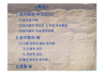 살아있는 신화 암각화-2