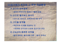 살아있는 신화 암각화-4
