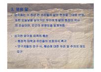 살아있는 신화 암각화-12
