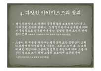 아카이브즈의 성질-12