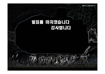 동북공정에 대하여-17
