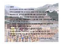 무신정변 레포트-8