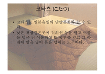 일본의 주거문화에 대하여-6