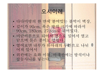 일본의 주거문화에 대하여-7