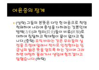 년동학 농민전쟁-12