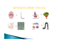 생물학의 역사 레포트-13