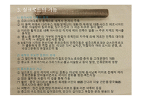 동서문화의 교류-10