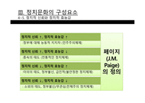 정치문화_42 레포트-13