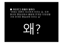게오르그 짐멜의 문화관-5