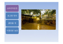 일본과 한국의 목욕문화-15