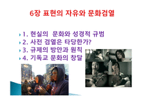 대중문화 바로보기 표현의 자유와 문화 검열-2