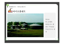 환경선진국 독일-12