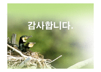 커뮤니티건강위기관리와 커뮤니케이션의 계속되는 도전-19