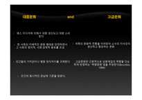 철학의 이해 대중문화의 빛과 그림자1-14