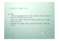 영화언어 레포트-20