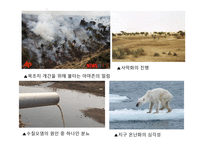 육식과 인스턴트 문화1-6