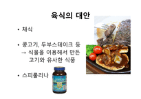 육식과 인스턴트 문화1-7