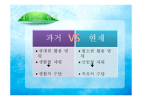 한국의 민속문화 천년의 숨결 대나무를 찾아서-13