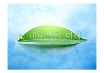 한국의 민속문화 천년의 숨결 대나무를 찾아서-14