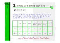 언어의 이해신 어란 무엇인가-11