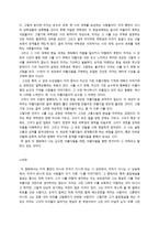 일 포스티노와 시에나 타난 시의 관점과 비판-5