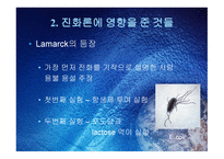진화론과 창조론2-5