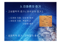 진화론과 창조론2-6