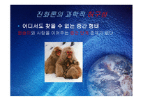 진화론과 창조론2-17