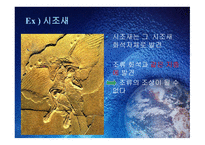 진화론과 창조론2-18