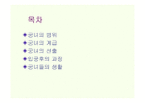 궁녀의 이해 레포트-2