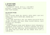 궁녀의 이해 레포트-3