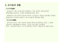 궁녀의 이해 레포트-9