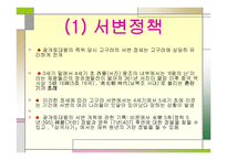 광개토태왕의 영토확장-13
